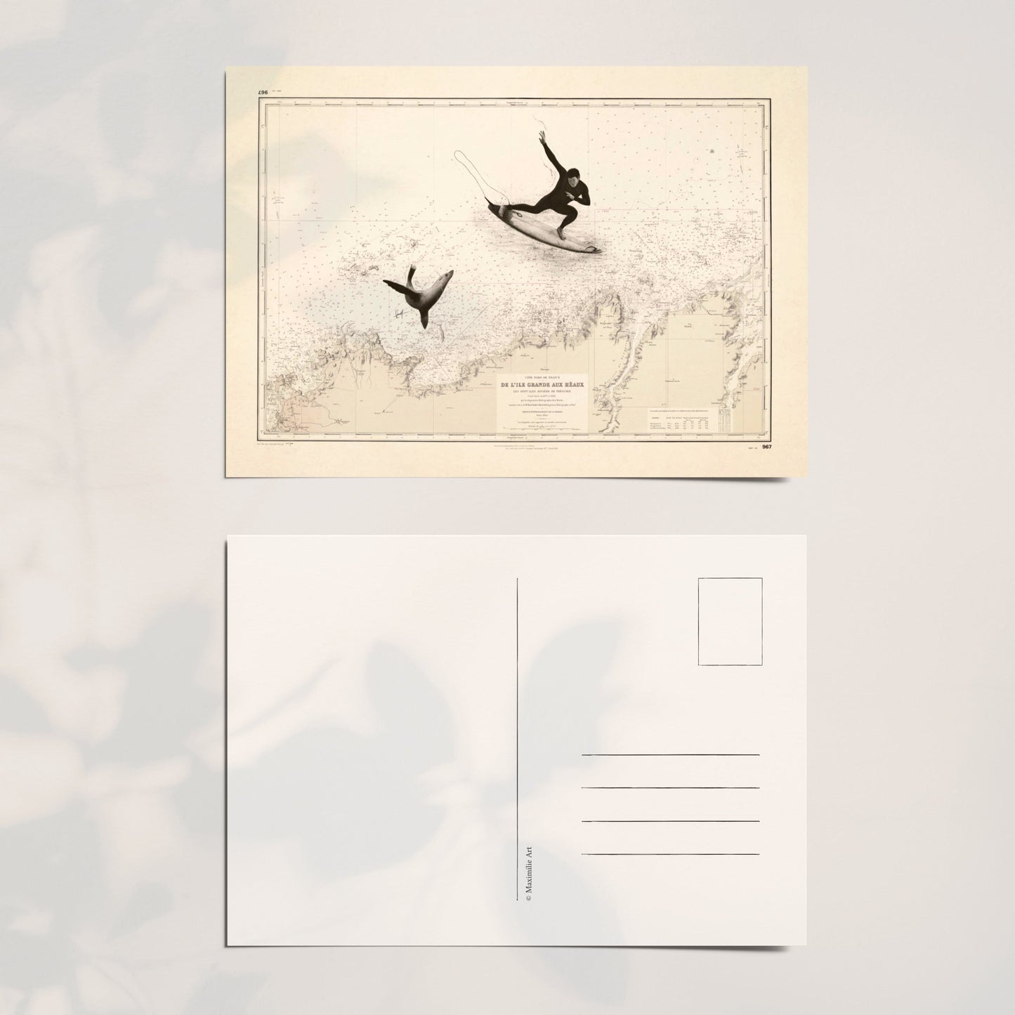 LE SURFEUR - Carte postale